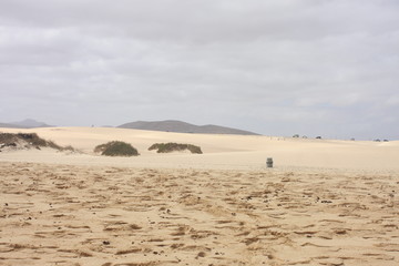 sandy beach