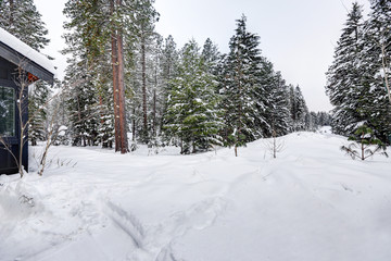 Exterior of modern home with winter landscape