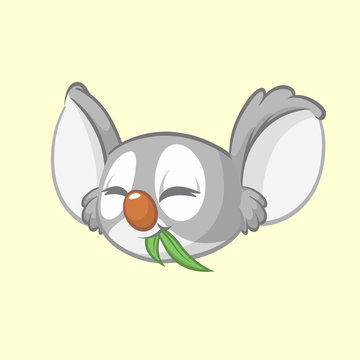 Cartoon koala head icon. Vector illustration of cute koala face with leaf of eucalyptus tree