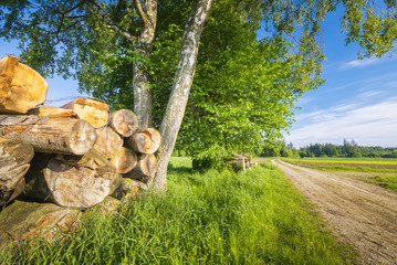 Sommerlicher Wanderweg im Allgäu | Deutschland 