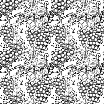 Seamless pattern with grapes.