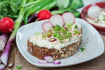 Brotscheibe mit Käse belegt und mit Lauchzwiebeln und Radieschen garniert