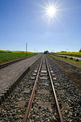 Fototapeta na wymiar Eisenbahnschinen durchs Rapsfeld in Sellvitz, Rügen