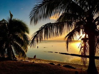 Beautiful white sanded beach and palm trees in the early sunset, Moorea, Tahiti, French Polynesia