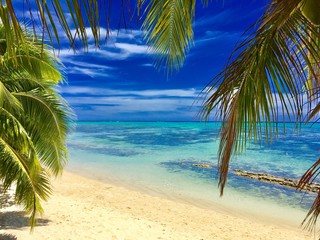 Beautiful white sanded beach and turquoise lagoon of Moorea, Tahiti, French Polynesia