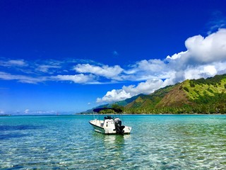 Boat in the turquoise lagoon of Moorea island, Tahiti, French Polynesia - obrazy, fototapety, plakaty