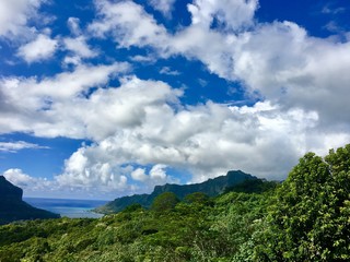 Beautiful view from the Belvedere at Cook's Bay and Opunohu Bay, Moorea, Tahiti, French Polynesia
