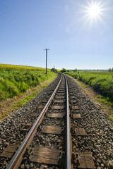 Obraz na płótnie Canvas Eisenbahnschinen durchs Rapsfeld in Sellvitz, Rügen