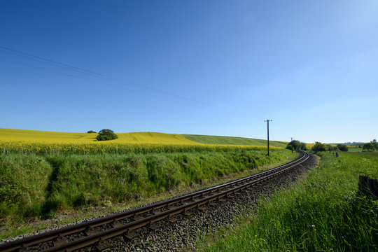 Eisenbahnschinen durchs Rapsfeld in Sellvitz, R&uuml;gen