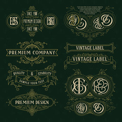 Old vintage floral elements - ribbons, monograms, stripes, lines, angles,border, frame,label, logo - vectors