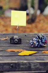 blank paper sticker with autumn leaves on old wood 