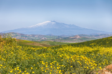 Sicilian landscape with mount Etna, Italy