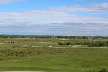 The grass landscape of the park.