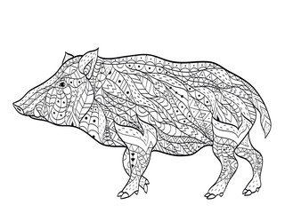 wild boar coloring vector for adults