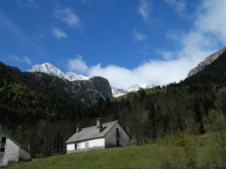 Fototapeta na wymiar Pirineo