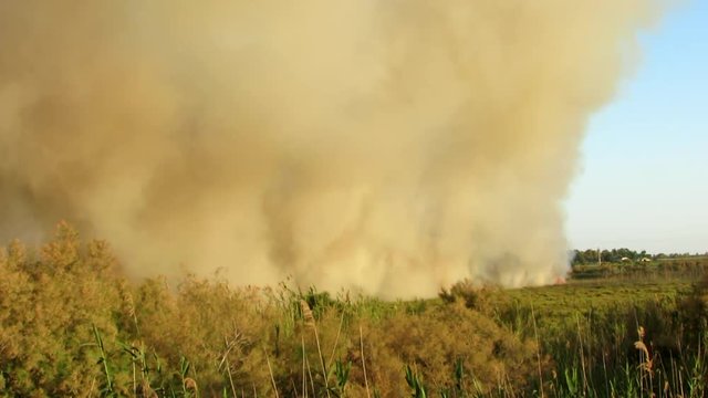 Indencio incontrolado en el campo / Uncontrolled fire in the field