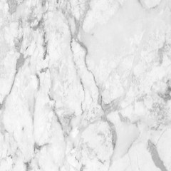 White marble texture background floor decorative stone interior stone
