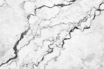 White marble texture background floor decorative stone interior stone
