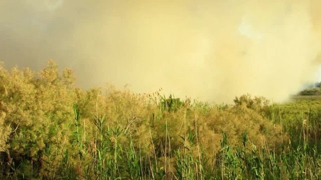 Humareda provocada por un incendio en el campo / Smoke from a fire in the field