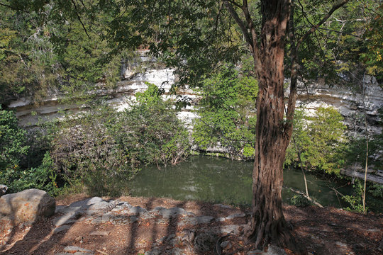Saint Pool (Senote Sagrada), Chichen Itza, Mexico 