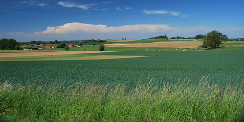 Campagne de Belgique