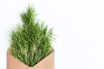 opened craft paper envelope filled with green cereal ears of grass. concept of healthy lifestyle. offer of organic natural food. care of the environment. Empty space for the text. flat lay.