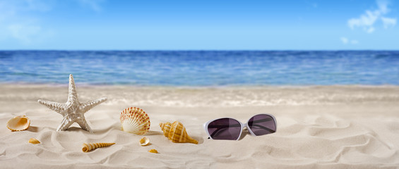 Starfish, seashells, sunglasses on seashore - beach holiday background banner