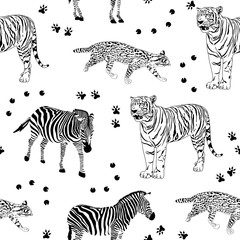 Wild life animals seamless pattern. Zebra, tiger and wild cat. Black and white, vector Illustration.