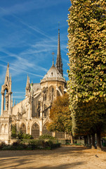 Obraz premium The Notre Dame Cathedral with garden , Paris, France.