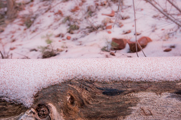 Red Sediment Settles on Snowy Log