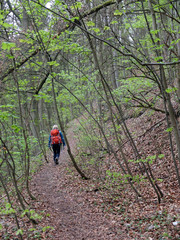 Obraz premium Wandern zwischen Wannbach und Ühleinshof