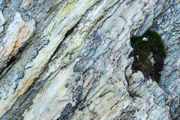 Wet stone background