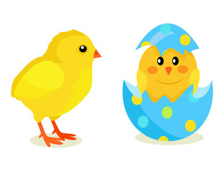 Chicken and Newborn Chick Hatch from Shell Vector