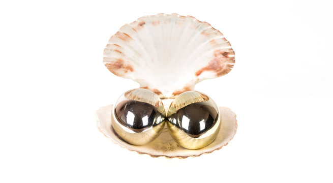 Shell with a pearl, jewelry, white isolated background