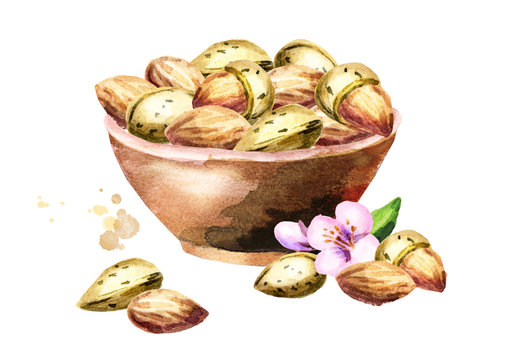 Bowl of almonds. Watercolor 