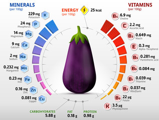 Vitamins and minerals of eggplant fruit. Infographics about nutrients in raw aubergine. Best vector illustration for agriculture, veggies, vitamins, health food, nutrients, diet, etc