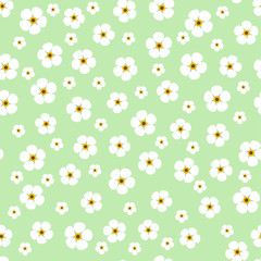 Flower seamless pattern. Fine texture with flowers
