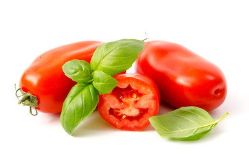 Tomatensorte Torino