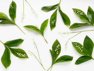 Lily of the valley flowers with green leaves isolated on white background. Flower pattern.