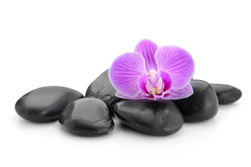 Fototapeta na wymiar zen basalt stones ,orchid and bamboo