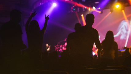 The crowd of silhouette of people dancing at the concert