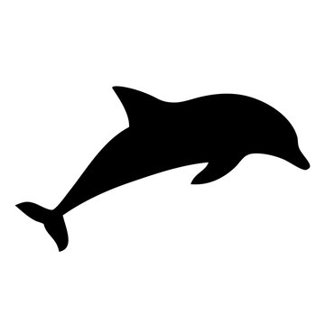 Delphin