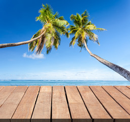 terrasse bois et duo de cocotiers aux Seychelles  © Unclesam
