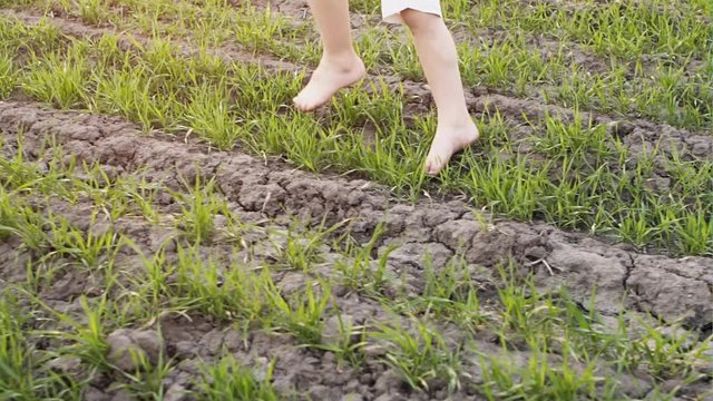 Children's legs running on the summer grass