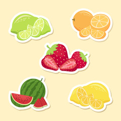 Fruits Set Sticker. Watermelon, Strawberry, Orange, Lemon, Lime. White Border Vector Illustration Cartoon