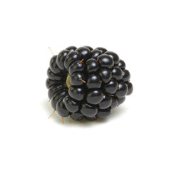  Ripe blackberries isolated on white background