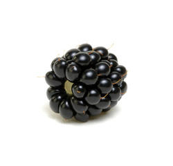 Blackberry isolated on white