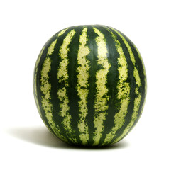 watermelon isolated on white