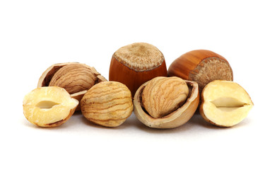 Hazelnut isolated on white