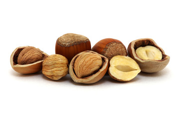 Hazelnut isolated on white